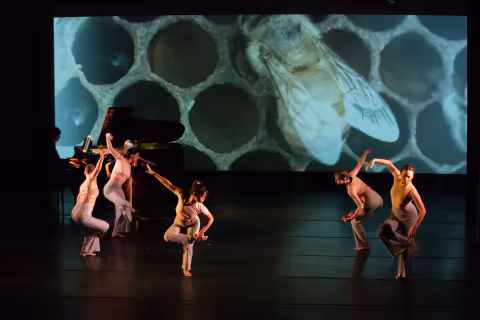 Passages - Dances we Dance - Manhattan - NY