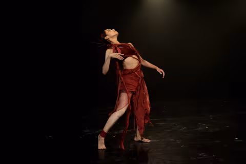 Ichihara Butoh Fest 2024 NY